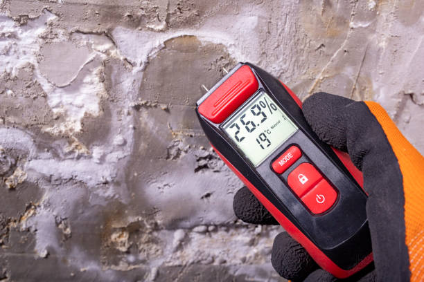 Best Basement Mold Remediation in Sausalito, CA