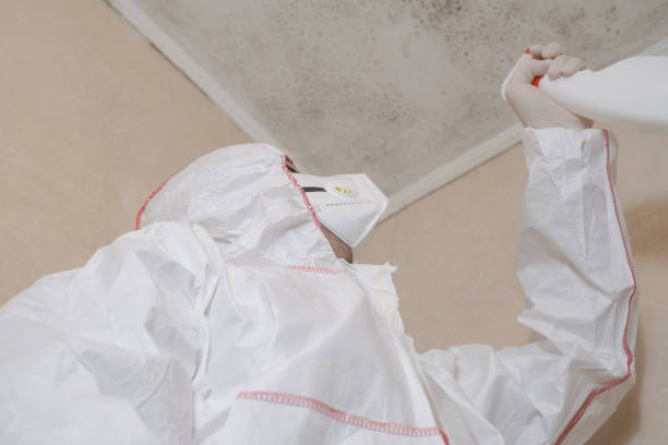 Best Health and Safety Mold Remediation in Sausalito, CA