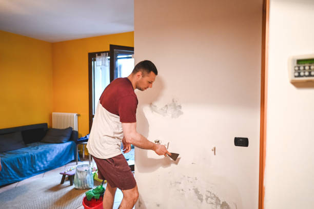 Best Mold Testing and Inspection Services in Sausalito, CA